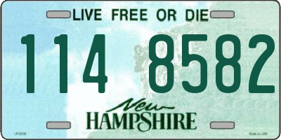 NH license plate 1148582