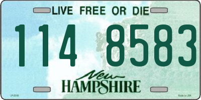 NH license plate 1148583