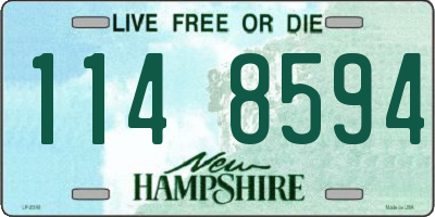NH license plate 1148594