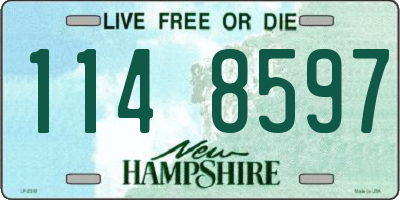 NH license plate 1148597