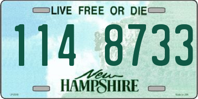 NH license plate 1148733