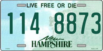 NH license plate 1148873