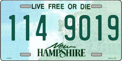 NH license plate 1149019