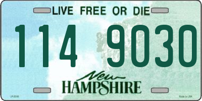 NH license plate 1149030