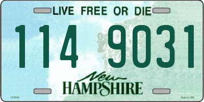 NH license plate 1149031