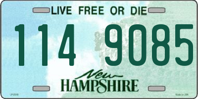 NH license plate 1149085