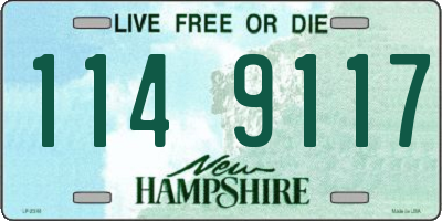 NH license plate 1149117