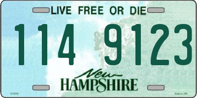 NH license plate 1149123