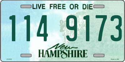 NH license plate 1149173