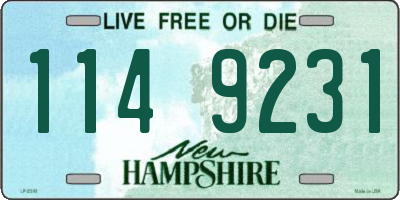 NH license plate 1149231