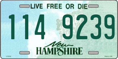 NH license plate 1149239