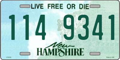 NH license plate 1149341