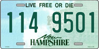 NH license plate 1149501