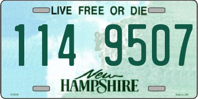 NH license plate 1149507