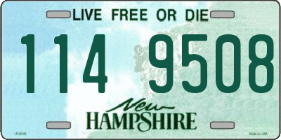 NH license plate 1149508