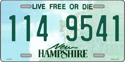 NH license plate 1149541