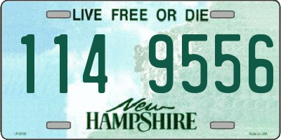 NH license plate 1149556