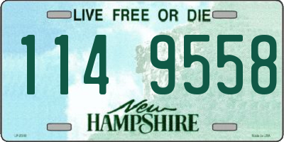 NH license plate 1149558