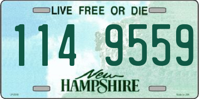 NH license plate 1149559