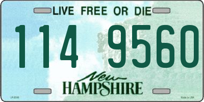 NH license plate 1149560