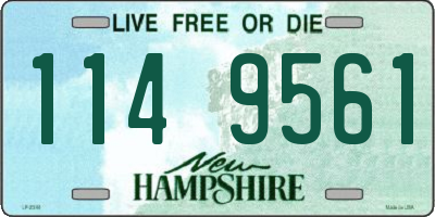 NH license plate 1149561