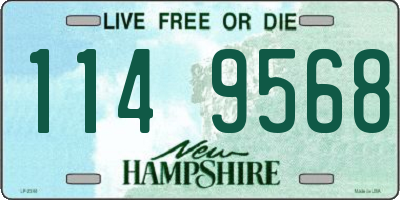 NH license plate 1149568