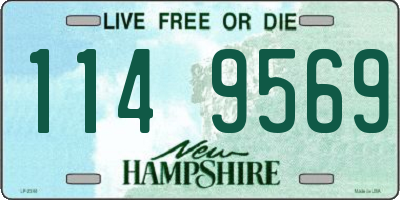 NH license plate 1149569