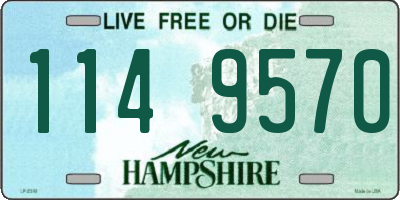 NH license plate 1149570