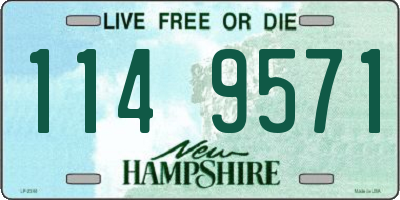 NH license plate 1149571