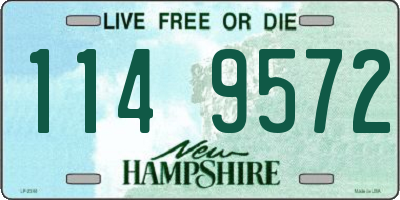 NH license plate 1149572