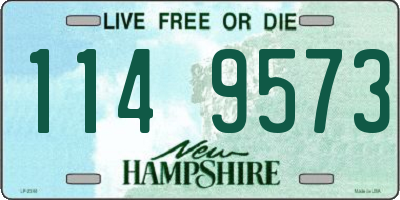 NH license plate 1149573