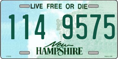 NH license plate 1149575