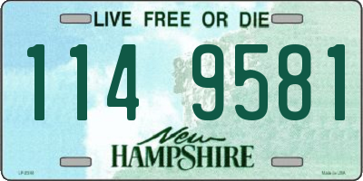 NH license plate 1149581