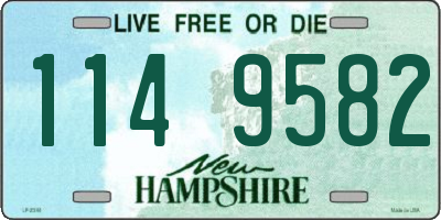 NH license plate 1149582