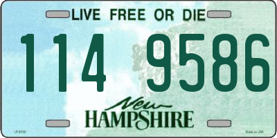 NH license plate 1149586