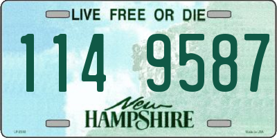 NH license plate 1149587