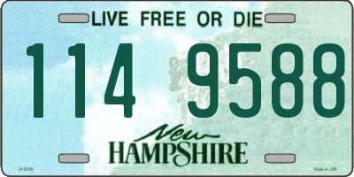 NH license plate 1149588