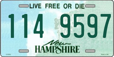 NH license plate 1149597
