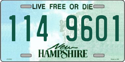NH license plate 1149601
