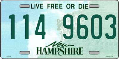 NH license plate 1149603