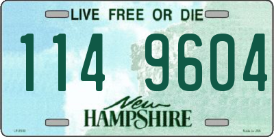 NH license plate 1149604