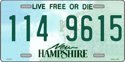 NH license plate 1149615