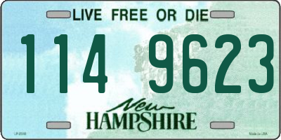NH license plate 1149623