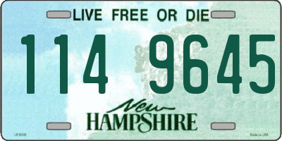 NH license plate 1149645