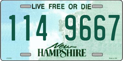 NH license plate 1149667