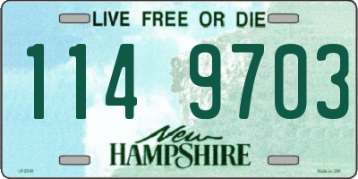 NH license plate 1149703