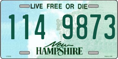 NH license plate 1149873