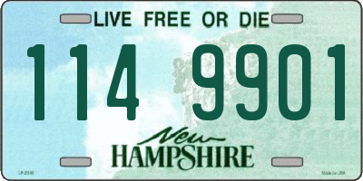 NH license plate 1149901