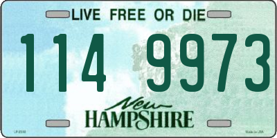 NH license plate 1149973