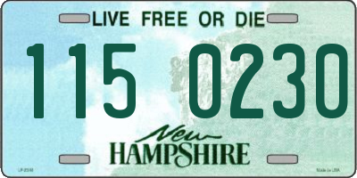 NH license plate 1150230